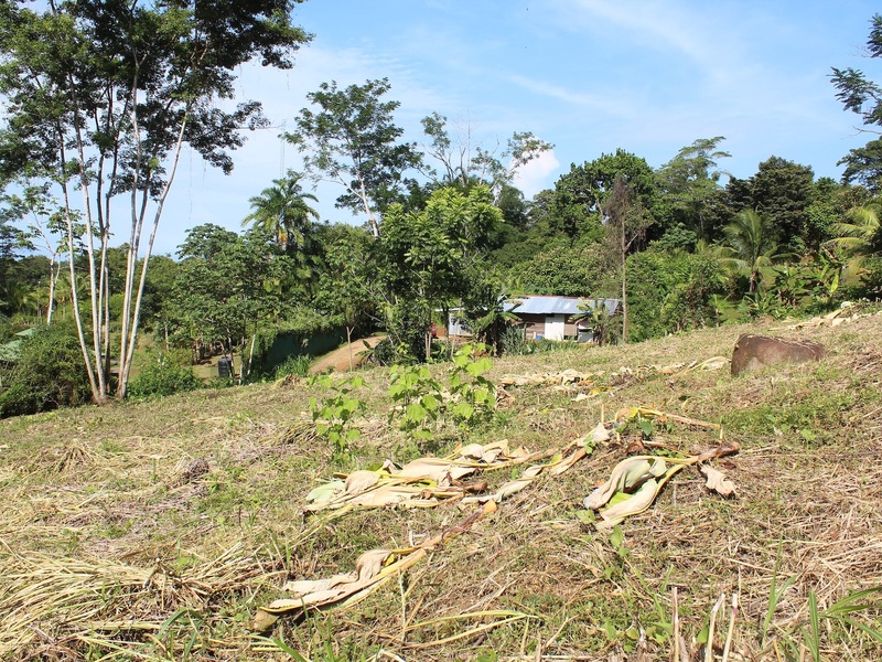 Land For Sale in Ojochal Costa Rica
